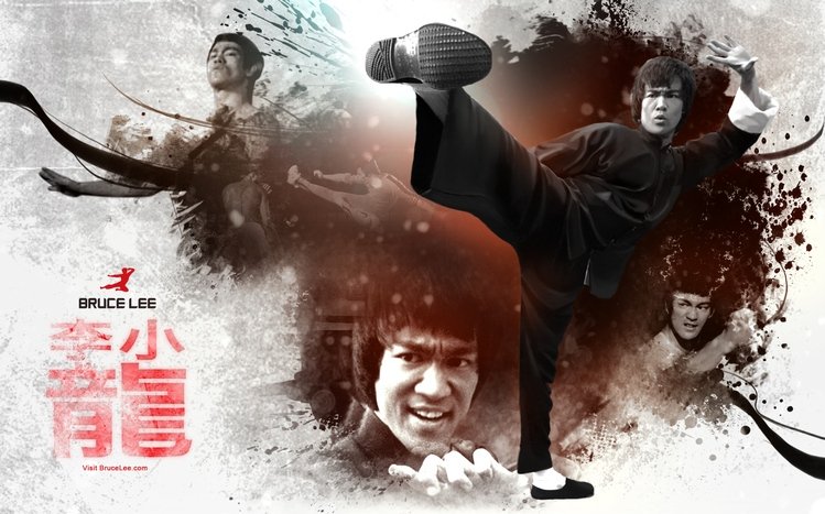 Bruce Lee Theme screenshot #12