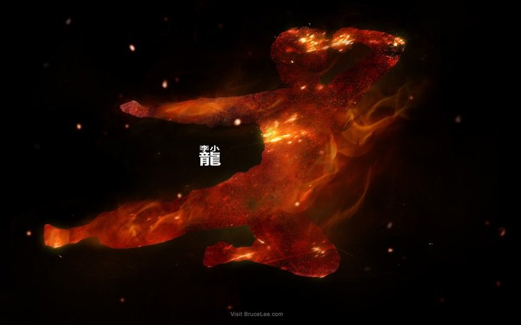 Bruce Lee Theme screenshot #13