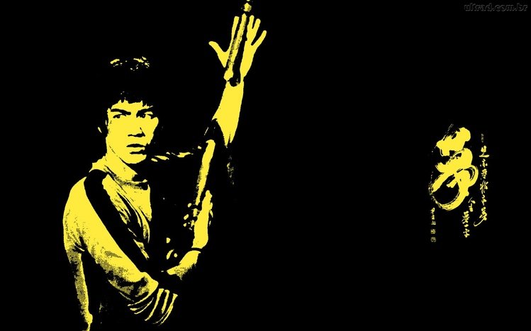 Bruce Lee Theme screenshot #15
