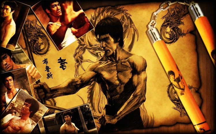 Bruce Lee Theme screenshot #3