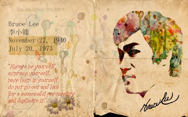 Bruce Lee Theme screenshot #6