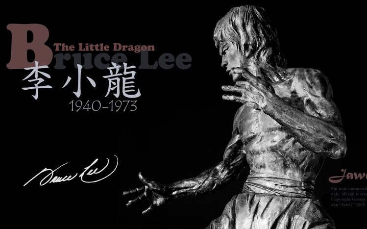 Bruce Lee Theme screenshot #7