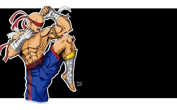 Lee Sin Theme screenshot #9