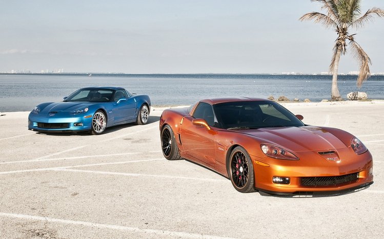 Chevrolet Corvette Z06 Theme screenshot #1