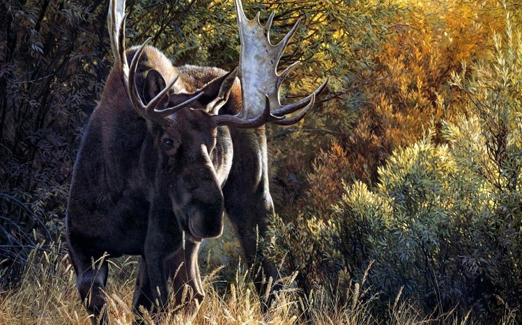 Moose Theme screenshot #2