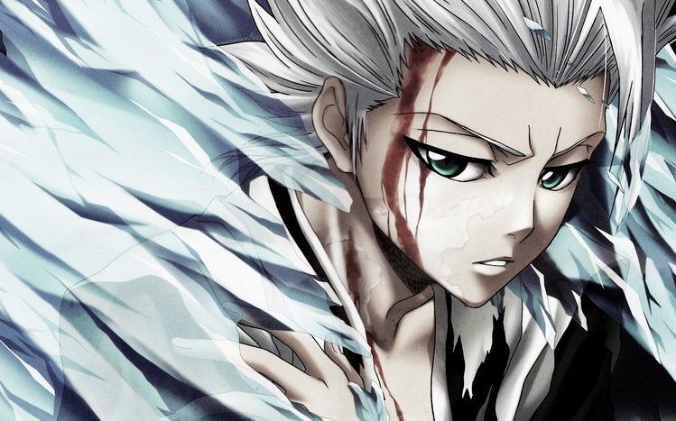 Toshiro Hitsugaya Theme screenshot #1