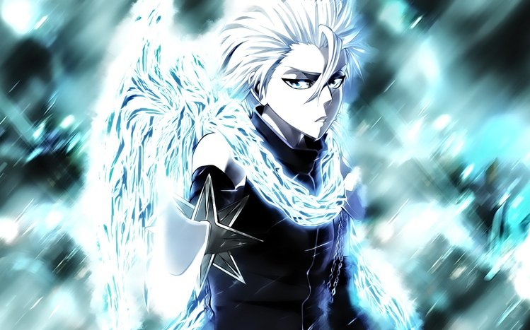 Toshiro Hitsugaya Theme screenshot #4