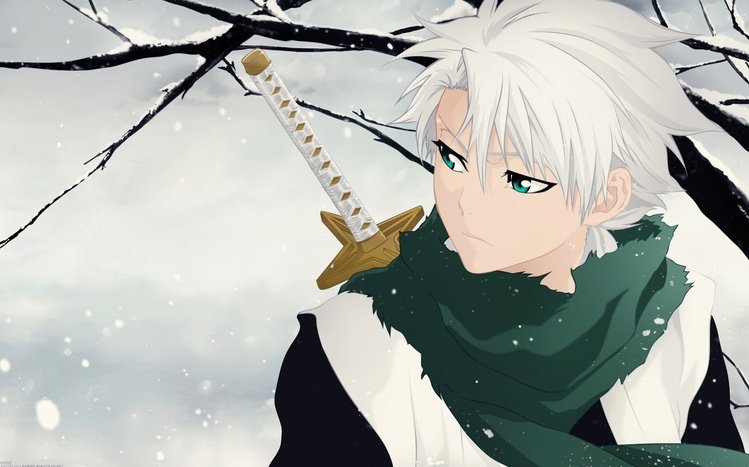 Toshiro Hitsugaya Theme screenshot #5