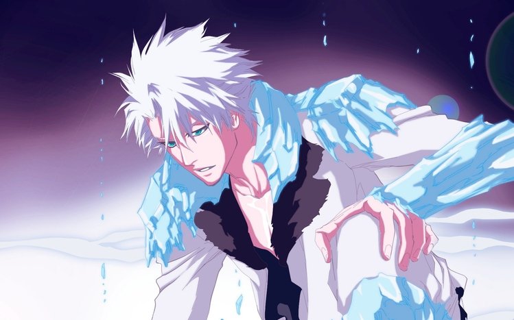 Toshiro Hitsugaya Theme screenshot #15