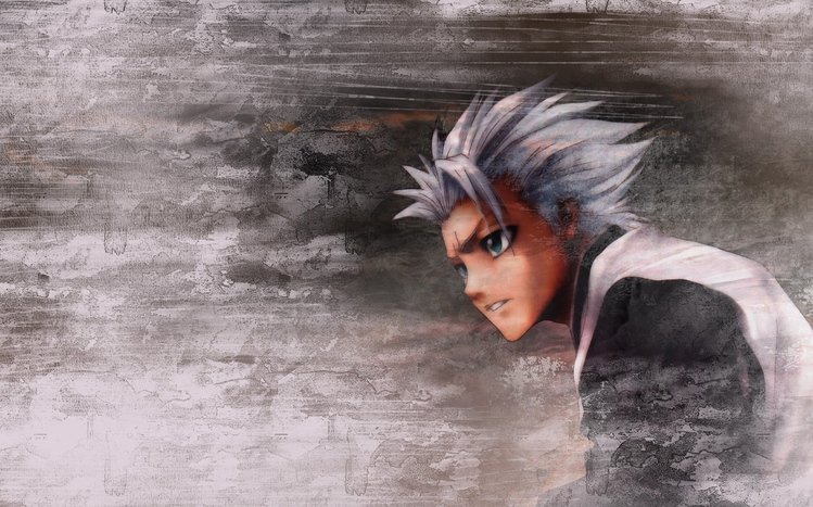 Toshiro Hitsugaya Theme screenshot #7