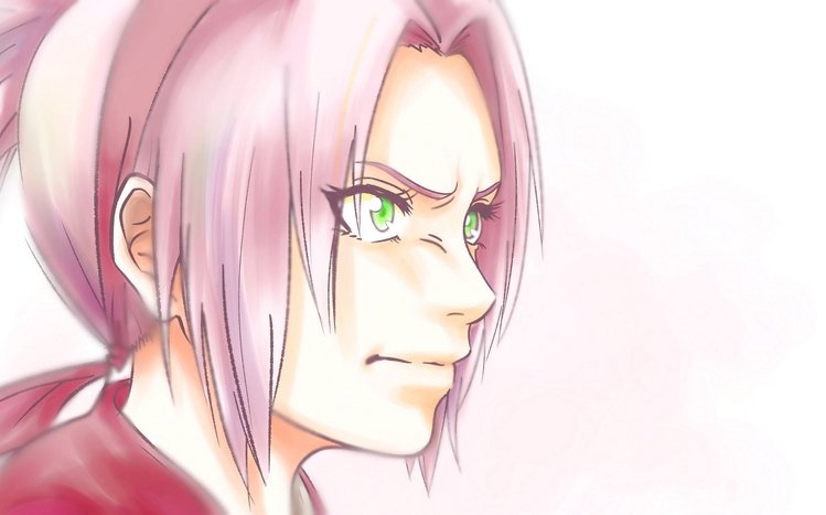Sakura Haruno Theme screenshot #14