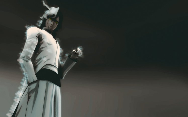Ulquiorra Cifer Theme screenshot #10