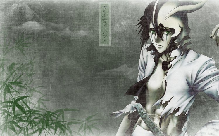 Ulquiorra Cifer Theme screenshot #8
