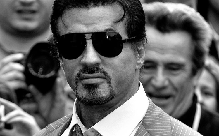 Sylvester Stallone Theme screenshot #10