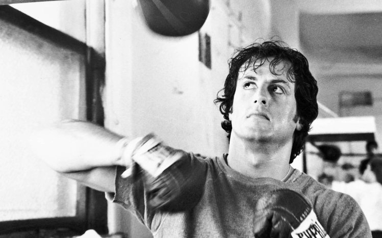 Sylvester Stallone Theme screenshot #17