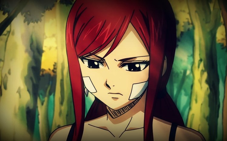 Erza Scarlet Theme screenshot #4