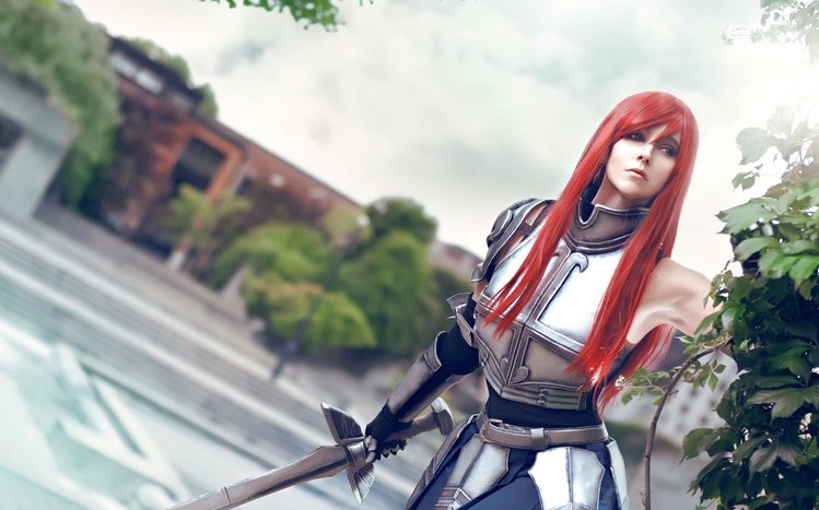 Erza Scarlet Theme screenshot #13