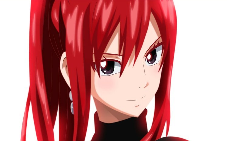 Erza Scarlet Theme screenshot #15