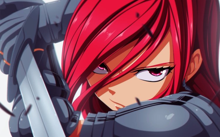 Erza Scarlet Theme screenshot #10
