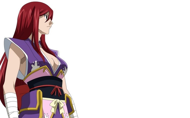 Erza Scarlet Theme screenshot #12