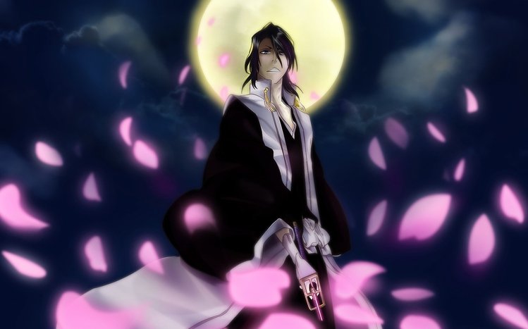 Byakuya Kuchiki Theme screenshot #9