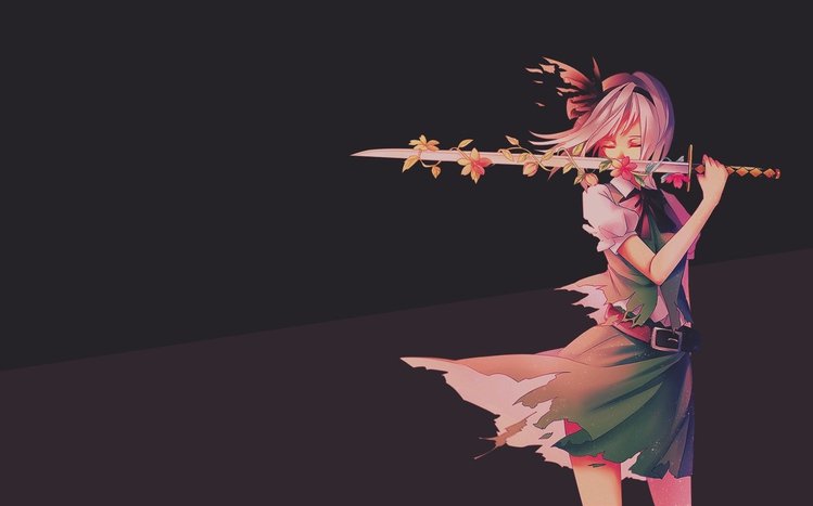 Youmu Konpaku Theme screenshot #9