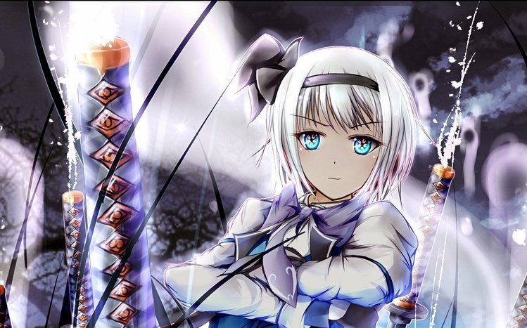 Youmu Konpaku Theme screenshot #7