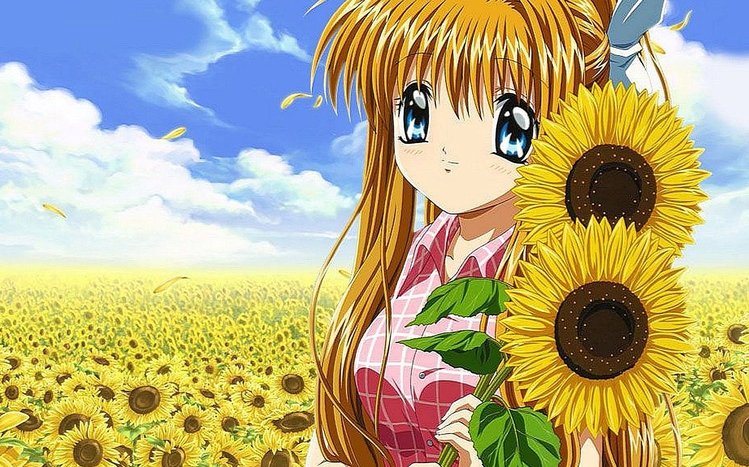 Misuzu Kamio Theme screenshot #4