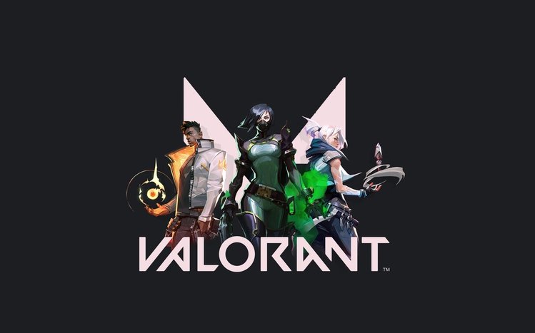 Valorant  Theme screenshot #6