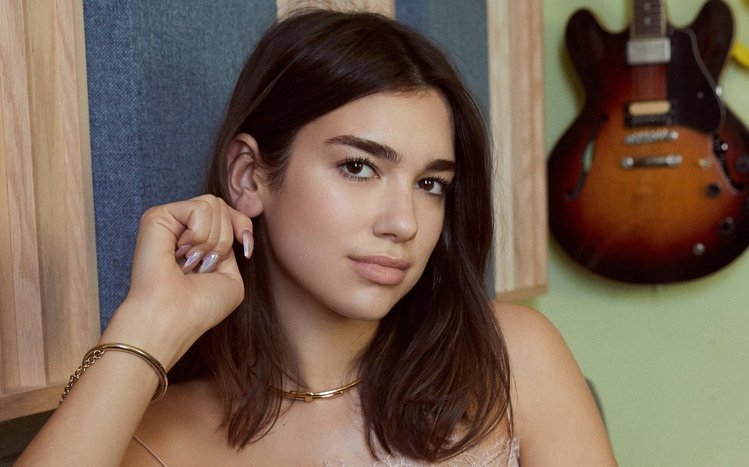 Dua Lipa Theme screenshot #3