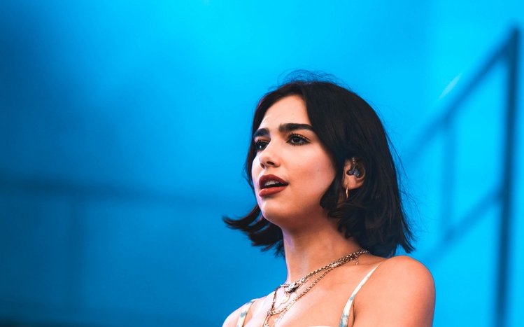 Dua Lipa Theme screenshot #11