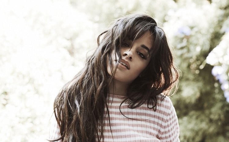 Camila Cabello Theme screenshot #13