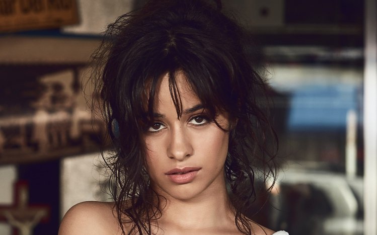 Camila Cabello Theme screenshot #3
