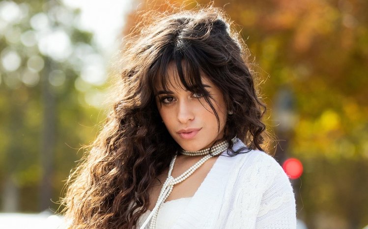 Camila Cabello Theme screenshot #11