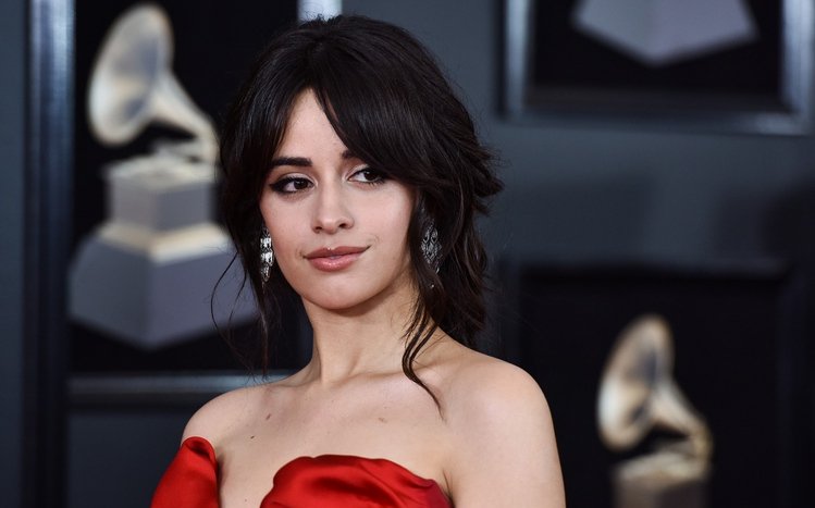 Camila Cabello Theme screenshot #9