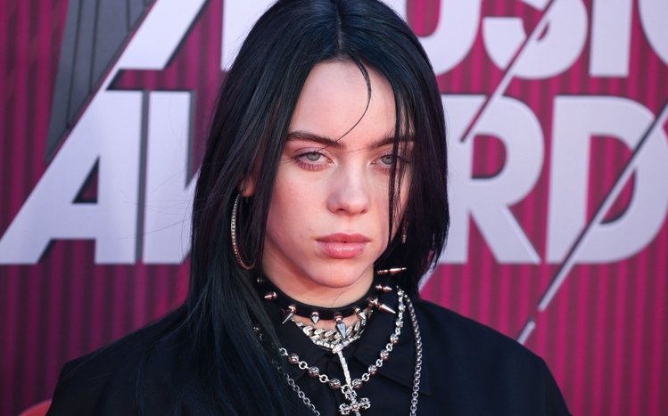 Billie Eilish Theme screenshot #12