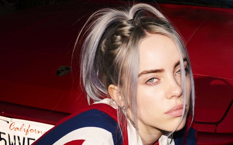 Billie Eilish Theme screenshot #13