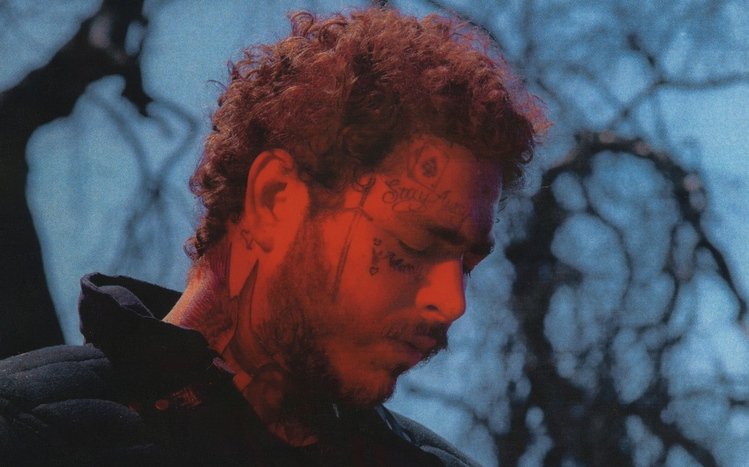  Post Malone Theme screenshot #17