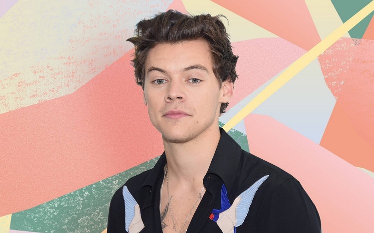 Harry Styles Theme screenshot #7