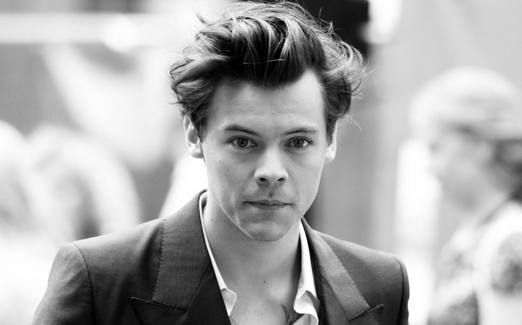 Harry Styles Theme screenshot #14