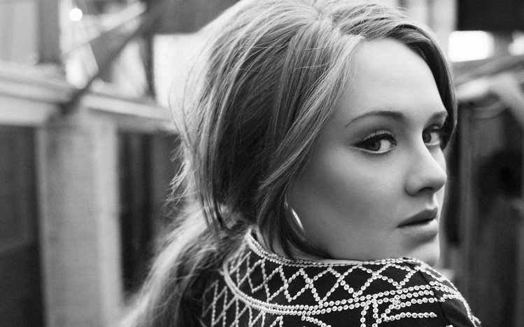 Adele Theme screenshot #4