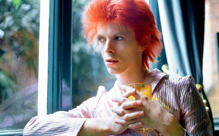 David Bowie Theme screenshot #10