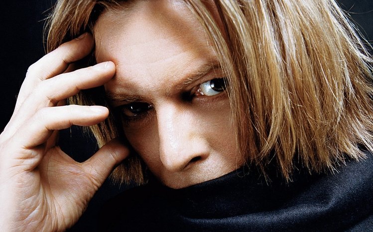 David Bowie Theme screenshot #1