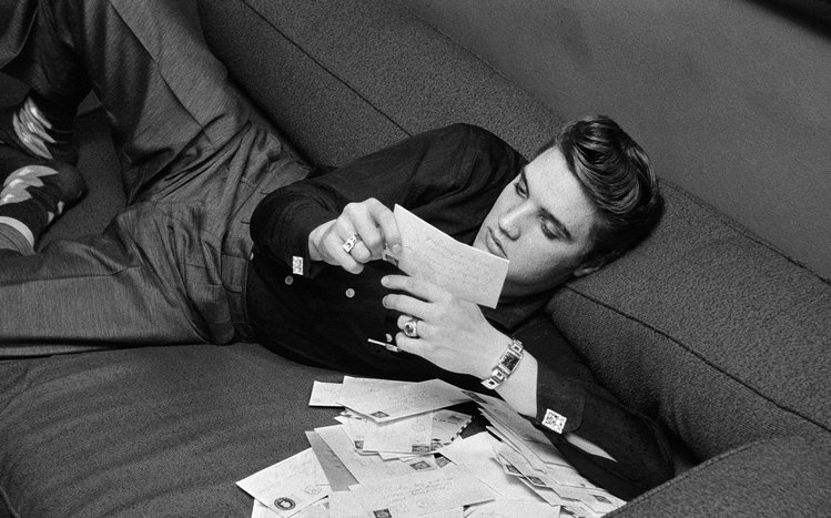 Elvis Presley Theme screenshot #6