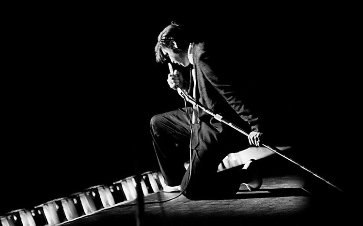 Elvis Presley Theme screenshot #4