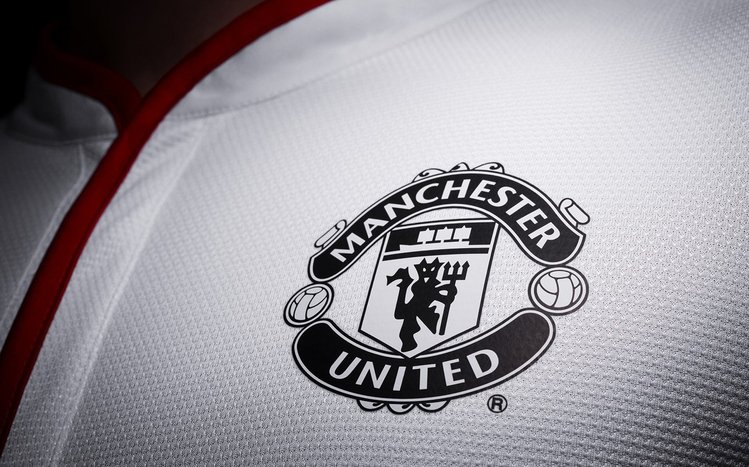 FC Manchester United Theme screenshot #15