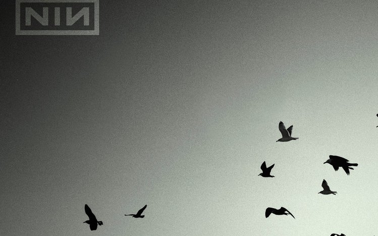 Nine Inch Nails Theme screenshot #5