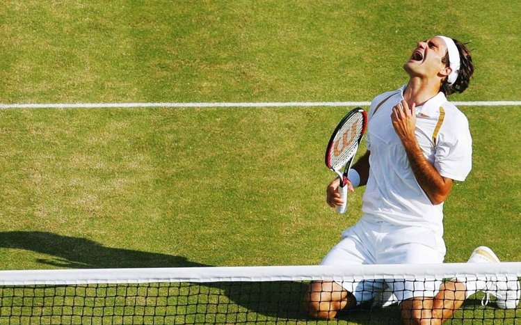 Roger Federer Theme screenshot #9