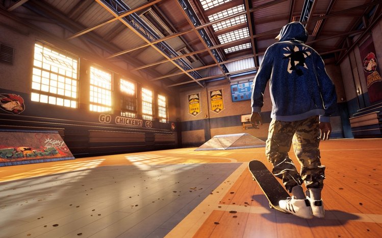 Tony Hawk's Pro Skater Theme screenshot #13