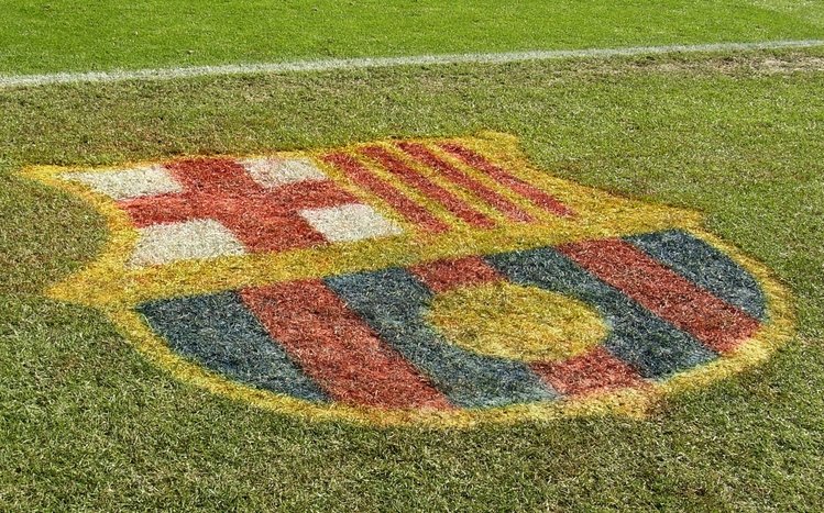 FC Barcelona Theme screenshot #11